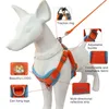 Colliers pour chiens 2 pièces/ensemble, laisse de Traction pour animaux de compagnie, ensemble de laisses respirantes pratiques, Kit de sangle de poitrine pour chiens pour la randonnée