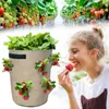 Pflanztöpfe Pflanzenwachstumsbeutel Topfgartenbeutel Erdbeer-Pflanzfilz-Behälter verdicken Garten-Setzlinge