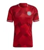 2024 2025 Kolumbien Auswärtsfußballtrikot