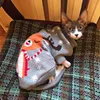 Ubrania dla psów ciepłe ubrania kota zimowe koty świąteczne koty kreskówka kreskówka do odzieży dla dziania płaszcz dla szczeniąt małych zwierząt domowych 231118