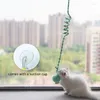 Katspeelgoed Hangende pluche touwballen interactieve teaser Wand Accessoires Leuke lente zelf-hey kitten speelgoed met klokken huisdierenbenodigdheden