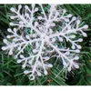 Christmas Decorations 9Pcs/lot 23cm Classic Charming Big White Snowflake Ornaments Holiday Festival Party Home Decor