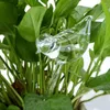 Attrezzature per l'irrigazione Piante da giardino Fiori Alimentatore d'acqua Dispositivo in vetro trasparente a forma di uccello Dispositivi automatici automatici