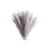 Decorative Flowers Wedding Garland Simulation Reeds Grass Boho Table Decor Tails Dried Brown Pompas White Pampas Artificial Garden