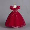 プリンセス幼児の花の女の子のドレス