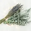 Decorative Flowers Pretty Eucalyptus Branch With Pleasant Smell Full Of Vitality Natural Leaves Home Supplies