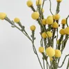 Dekorativa blommor konstgjorda växter tanzanian gyllene glödlampa blomma hem trädgård dekorera