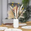 Decorative Flowers Natural Dried Pampas Grass Tail Small Reed Eucalyptus Leaves Wheat Ideal For Boho Wedding Party Arrange Home Decor