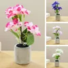 Simulation de fleurs décoratives, plante en pot pour bonsaï artificiel El, réaliste, sans flétrissement, décoration de maison, hortensia de bureau à faire soi-même