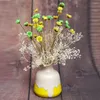 Decoratieve bloemen Small Star Bouquet Wedding Arrangement Mini Daisy Gedroogde Natuurlijke planten Behouden Bloemen Home Room Decor 30/10pcs