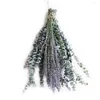 Decorative Flowers Pretty Eucalyptus Branch With Pleasant Smell Full Of Vitality Natural Leaves Home Supplies