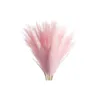 Decorative Flowers Wedding Garland Simulation Reeds Grass Boho Table Decor Tails Dried Brown Pompas White Pampas Artificial Garden