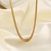 Ras du cou Simple creux 8mm largeur collier en métal femme clavicule chaîne titane acier cravache bijoux