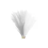 Decorative Flowers Wedding Garland Simulation Reeds Grass Boho Table Decor Tails Dried Brown Pompas White Pampas Artificial Garden