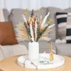 Decorative Flowers Natural Dried Pampas Grass Tail Small Reed Eucalyptus Leaves Wheat Ideal For Boho Wedding Party Arrange Home Decor