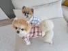 Dog Apparel Sweaters For Pets Autumn Winter Clothes Small Cute Plaid Cardigans Puppy Cat Clothing Pug Chihuahua