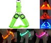 LED Nylon Haustier Hund Katze Kragen Peppy Hundegeschirr Led Blinklicht Harness Kragen Haustier Sicherheit Led Leine Seil Gürtel Whole1410582