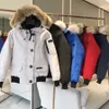 Winter heren vluchtpak kort Canada dons Goose jas thermische taart overwinnen damesjas echt coyote bont capuchon verwijderbaar pluizig casual zwart grijs beige wit