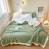 Blankets Spring Winter Warm Blanket Imitation Wool Thicken Flannel Blankets for Bed Sofa Soft Skin Friendly Warmth Comforter Washable 231118