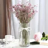 Vaser europeisk stil glas vas transparent kreativ ljus färg hydroponisk vardagsrum dekoration torkad blommor arrangemang