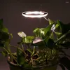 Лампа для отделки вечеринки выращивать светлую ловкостью