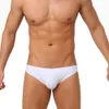 Sexy taille basse maillot de bain pour hommes slip de bain été Europe amérique mode Nylon