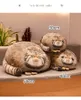 Nya hårda och söta Bunny Plush Doll Imitation Cat Throw Pillow Soft Fill Comfort Doll presenter i lager