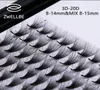 Zwellbe Lashes 12 линий Готовые вееры для объема CD 3D20D Lash Русское объемное наращивание ресниц Готовое наращивание ресниц Искусственная норка3163588