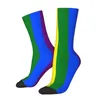 Chaussettes pour hommes, imprimé mignon, bande de drapeau de la fierté Gay, pour femmes et hommes, extensible, été, automne, hiver, GLBT, LGBT, arc-en-ciel, équipage lesbien