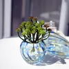 Вазы европейский и американский цвет маленький размер мини -креативные свежие вставки с сухим цветочным стеклянным вазой зеленый мясистый прозрачный