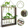 Vases Wall Hanging Planter 2 Tiered Plant Propagation Stations Glass Test Tube Vase For Hydroponics Plants Flowers