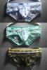 Underpants 3pcs/lot Men's Panties Triangles Sexy Fashion Erotic Mesh Print Ultra-thin Transparent Concave Convex Low-waisted