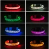 Light Up Dog Collar LED Dog Collar Night Walking Glow Leopard Collar Flashing Lighted Dog Collar for Small Medium Large Dogs