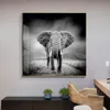 Schwarzweiss-Afrika-Elefanten-wilde Tiere-Leinwand-Kunst-Malerei-Plakate und Drucke Cuadros-Wand-Kunst-Bilder für Wohnzimmer