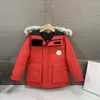 2024 HOUDIES Kid Coat Baby Clothes Kids Down Jacket Top Toddler Designer Hooded With Badge Fasion Thick Warm Outwear Girl Boy Outerwear Classic Parkas 100 Wolf Fur Col