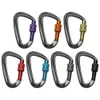 5 PCSCARABINERS 12 KN BUIDSCHROEFSLUIT GEK D -VLEKTE CARABINER CLASP KEYRING Clip Camping Kits Touw Buckle Water Cup Buckle Climbing Tool P230420