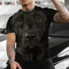 Męskie koszule Pet Pet w 3D z nadrukiem 3D T-shirt moda uliczna i zabawne ubrania unisex z krótkim rękawem, oversione oddychające letnie ubranie