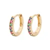 Hoop oorbellen Enkele luxe kleurrijk kristal voor vrouwen 5-9 mm Vintage Rose Gold Round Micro Inlay Hoops Zirkoon sieraden