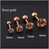 Stud 1pc / lot taille 6mm 4 couleurs punk médical en acier inoxydable titane aiguille zircon cristal boucles d'oreilles pour hommes drop delive dhgarden otzbz