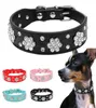2018 s Didog Rhinestone Dog Collar Diamante Pet Necklace Bling Cat Leather Collars Blue Pink Black Red For Small Medium Dogs3114137