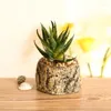 Decorative Flowers 1pc Home Accessories Fake Plants Bonsai Artificial Cactus Aloe Vera