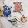 Colliers de chien laisses corde de Traction réglable sac à dos pour animaux de compagnie caniche Bixiong sangle de poitrine collier de chat accessoires de costume articles 231118