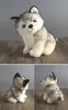 Peluches en gros Simulation Husky poupée animaux en peluche jouet petit chien Er Ha poupée mode chien cadeau de noël Huggy Wuggy jouet personnalisé animaux en peluche jouet pour enfant