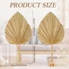 Decoratie Gedroogde palmbladeren Decoraties Trimed Gedroogde Palm Spear Palm Fans Tropical Drooged Wedding Flowers Boho Bruiloft Decor Vase Centerpieces Decor IMake823