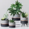 Vases Nordic Cement Flowerpot With Feet Succulents Potted Plants Home Decor Furnishings Bonsai Vase Living Room Decoration Accessories