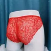Underpants Mens Sheer Sexy Thong U Convex Pouch G-String Briefs Lace Panties Underwear Gay Lingerie Knickers Breathable
