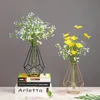 Vases Nordique Simple Vase en verre doré plante hydroponique Vase à fleurs fer géométrique verre Tube à essai en métal support de plante moderne décor à la maison 231120