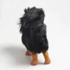 Dekorativa figurer Creative Real Life Black Dog Model Plasticfurs Tibetan Mastiff Gift 28x25cm XF2816