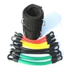 Conjunto completo de bandas de resistencia para correr, entrenamiento de agilidad y velocidad cinética, tubos para ejercicio para atletas, Footba, basketba, jugadores, 3724543