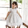 Girl Dresses 2023 Flower Girls Elegant Baby Sequin Ball Gowns Pink Clothing Toddle Vintage Spanish Robe Children Party Vestidos